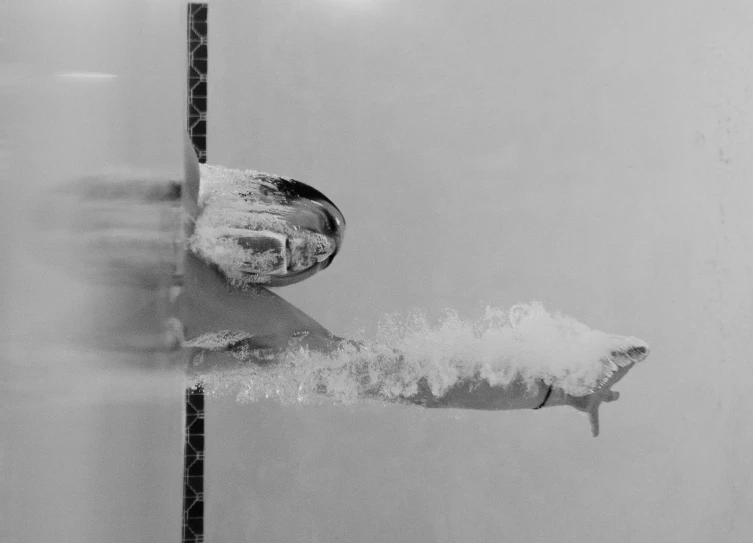 a black and white photo of a snowboarder, a black and white photo, by Maurycy Gottlieb, purism, olympic diving springoard, partially submerged, photo from the olympic games, thrusters