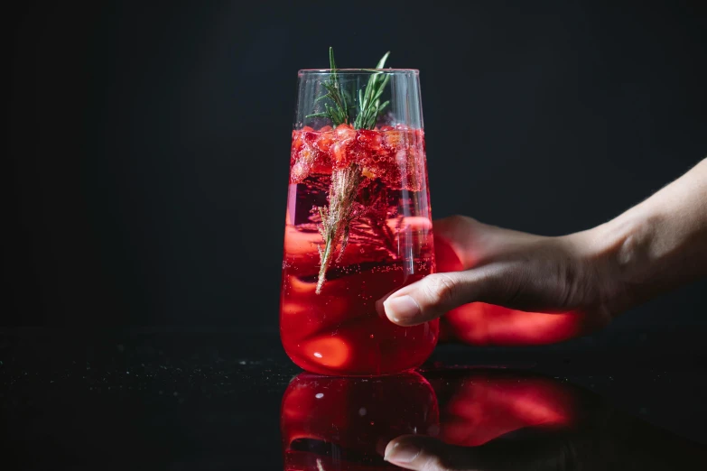 a person holding a glass filled with red liquid and a sprig of rosemary, by Emma Andijewska, pexels contest winner, red neon, garnish, knockout punch, tall