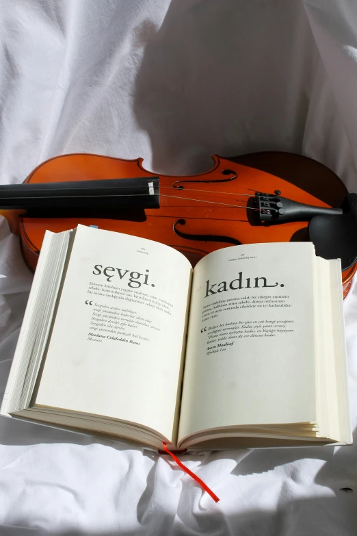 an open book sitting on top of a bed next to a violin, inspired by Vilhelm Kyhn, reddit, hurufiyya, with names, turkish and russian, set against a white background, sadan vague