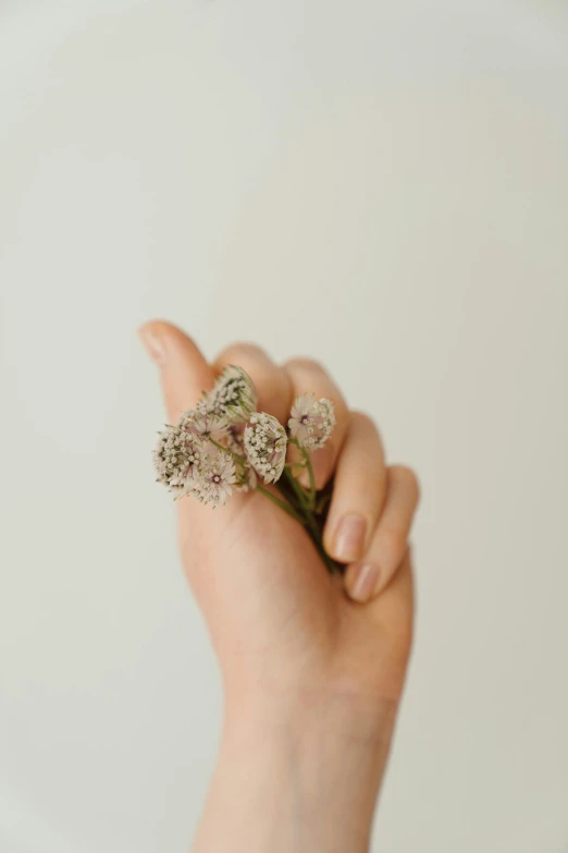 a person holding a bunch of flowers in their hand, by Anna Boch, trending on pexels, minimalism, made of dried flowers, clover, ring, slight haze