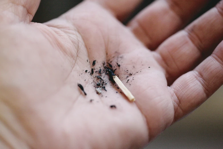 a person holding a cigarette in their hand, unsplash, auto-destructive art, brass debris, tiny sticks, where the ash gathered, product introduction photo