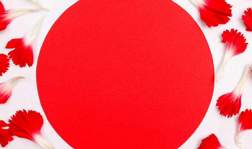 a red circle surrounded by red and white flowers, inspired by Anish Kapoor, trending on pexels, process art, drum pads, red-fabric, white red, pokeball