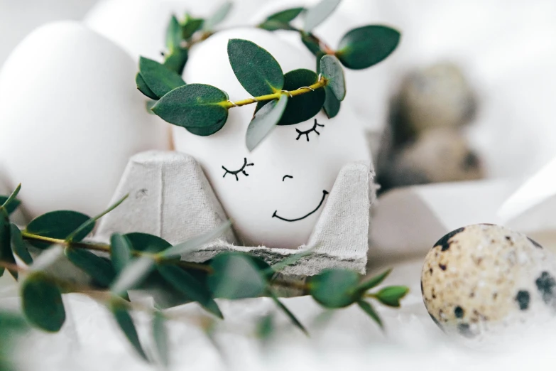 a couple of eggs sitting on top of an egg carton, a cartoon, by Lucia Peka, trending on pexels, eucalyptus, vine headdress, perfect face template, easter