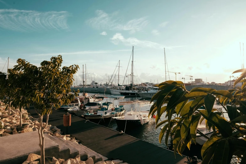 a marina filled with lots of boats under a blue sky, pexels contest winner, jamaican vibe, magic hour lighting, ilustration, sunfaded