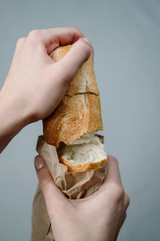 a person holding a sandwich in their hand, by Niko Henrichon, pexels, holding a baguette, made of lab tissue, large tall, linen