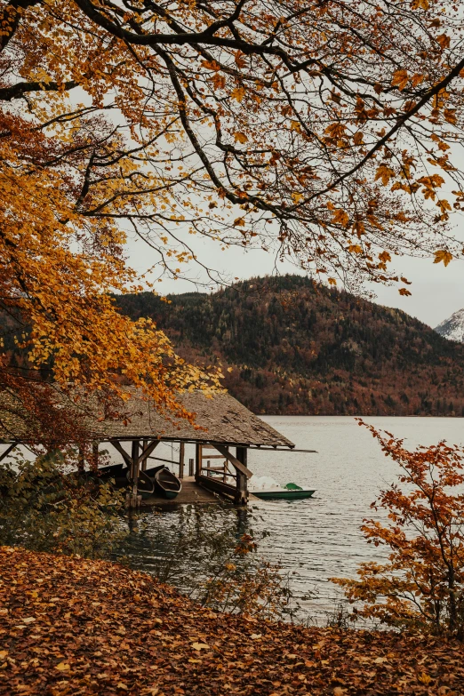 a boat sitting on top of a lake next to a forest, thatched roof, autumn mountains, overhanging branches, slide show