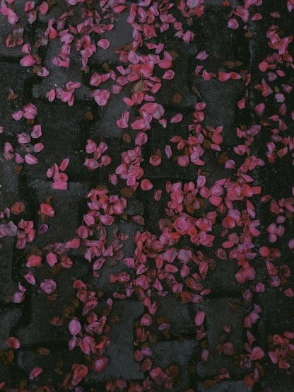 a red fire hydrant sitting on top of a sidewalk, an album cover, by Attila Meszlenyi, pink petals, ((pink)), detail shot, dark