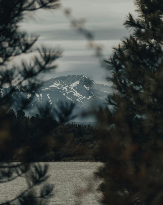 a plane flying over a lake with a mountain in the background, a black and white photo, by Emma Andijewska, unsplash contest winner, hurufiyya, trees and pines everywhere, with snow on its peak, portrait photo, looking threatening