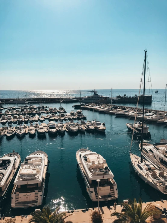 a marina filled with lots of boats and palm trees, a picture, pexels contest winner, monaco, cinematic 8k uhd, 💋 💄 👠 👗, perfect crisp sunlight