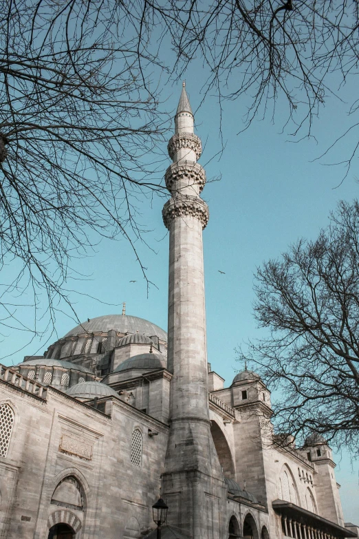 a large white building with a tall tower, a marble sculpture, inspired by Altoon Sultan, pexels contest winner, hurufiyya, blue and gray colors, turkey, dome, with a tall tree
