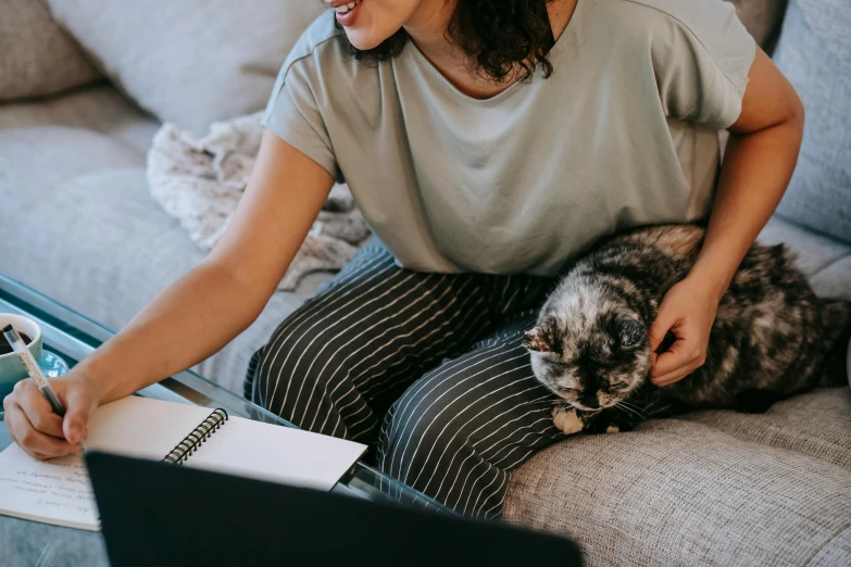 a woman sitting on a couch petting a cat, trending on pexels, sitting at a computer, writing on a clipboard, grey, wearing pajamas