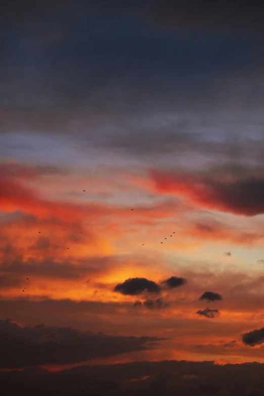 a sunset with clouds and birds flying in the sky, flickr, trending photo, nebula sunset, shot on sony a 7, reds)