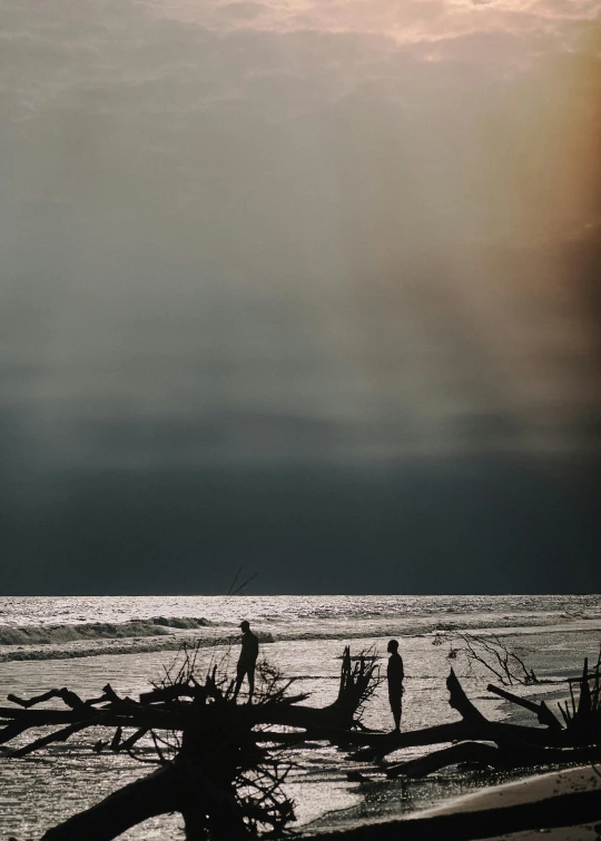 a group of people standing on top of a beach next to the ocean, inspired by Max Dupain, romanticism, ominous evening, by emmanuel lubezki, driftwood, morning sun