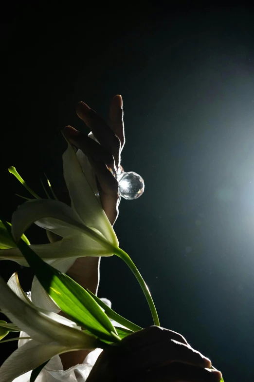 a person holding a bunch of white flowers, inspired by Jan Rustem, light and space, holding a crystal ball, sun overhead, tropical lighting, lpoty