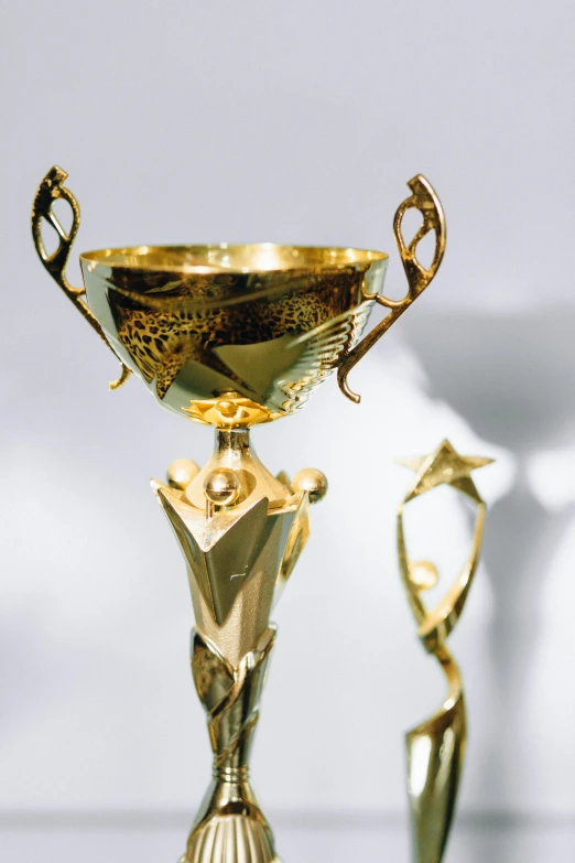 a couple of trophies sitting on top of a table, pexels contest winner, art nouveau, futuristic precious metals, stars, pictured from the shoulders up, gilt metal