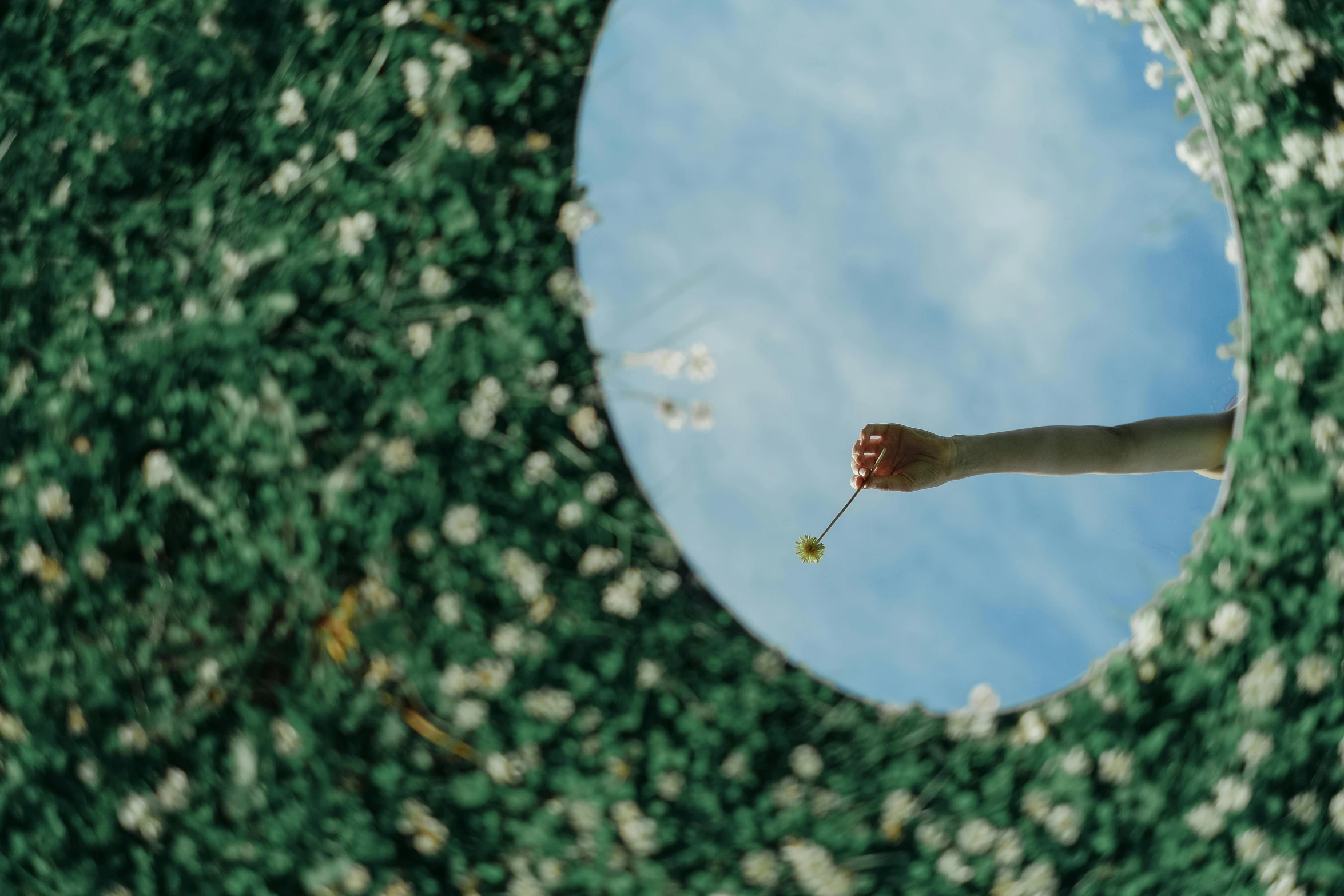 a person holding a flower in front of a mirror, pexels contest winner, land art, floating into the sky, circle, floating. greenish blue, full frame image