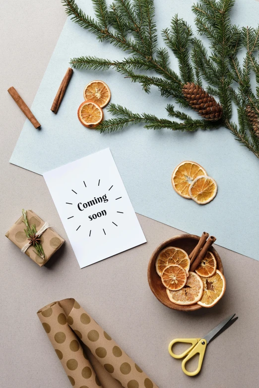 a bunch of oranges sitting on top of a table, a still life, trending on pexels, happening, invitation card, cinnamon, evergreen branches, thumbnail