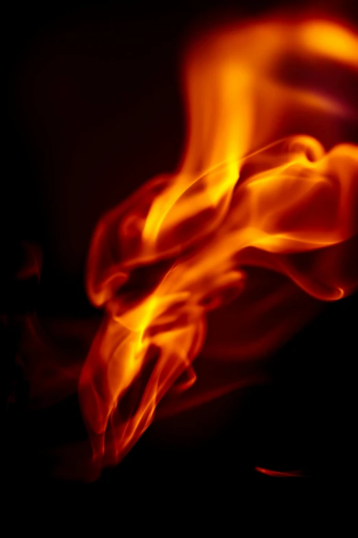 a close up of a fire on a black background, by David Martin, flare, profile image, closeup photograph, new mexico