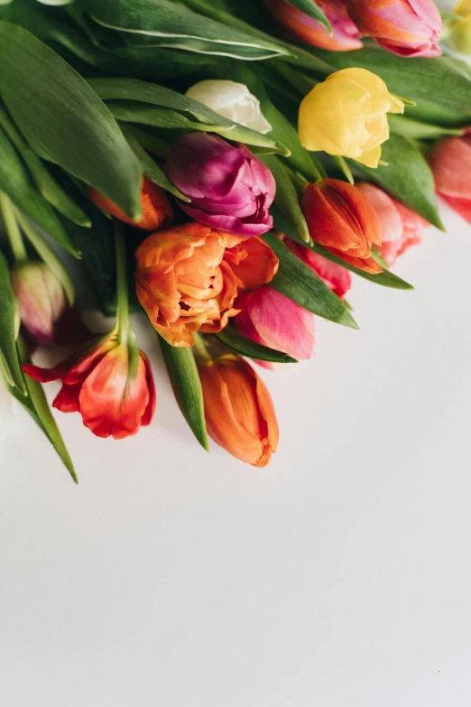 a bouquet of colorful tulips on a white surface, inspired by François Boquet, trending on unsplash, low detail, colorful vines, orange flowers, various sizes