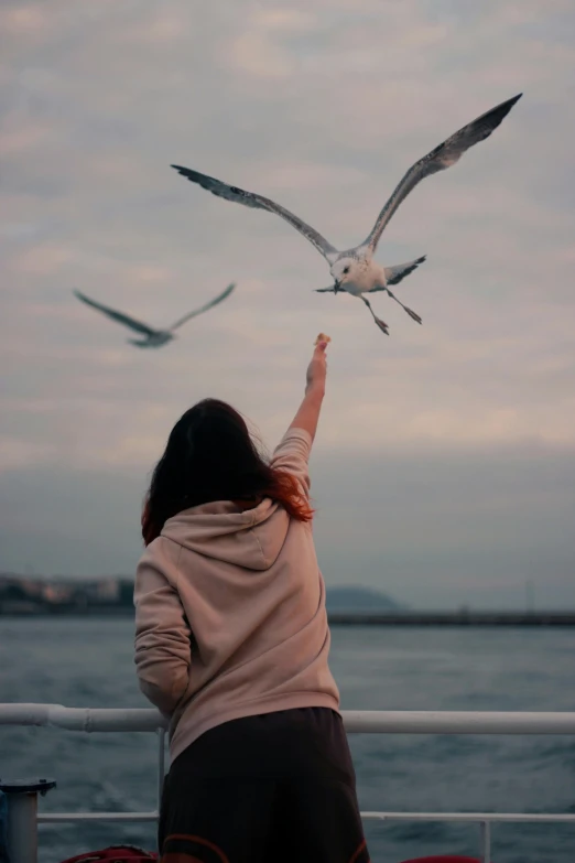 a woman looking at seagulls flying over a body of water, pexels contest winner, waving arms, soft mood, teenage girl, 'wherever you go