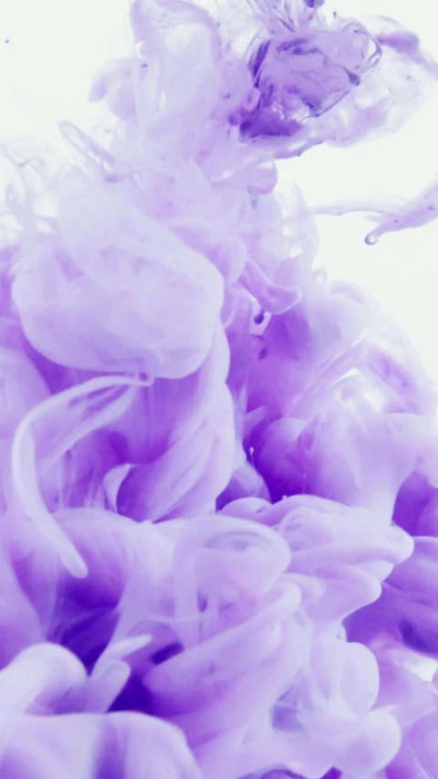 a close up of a purple flower in water, inspired by Kim Keever, pexels, process art, made of cotton candy, snapchat photo, second colours - purple, made of liquid