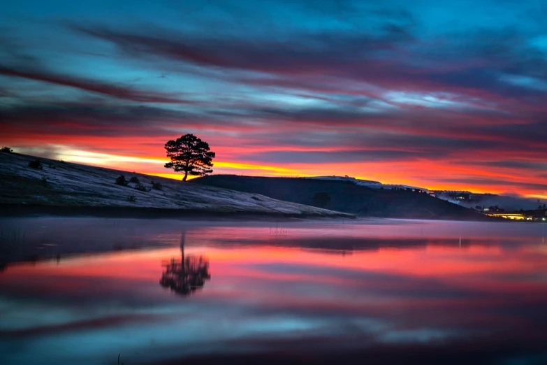 a tree that is sitting in the water, by Andrew Geddes, pexels contest winner, sunrise colors, yorkshire, magenta and blue, fine art print