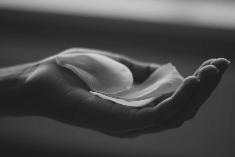 a person holding a piece of paper in their hand, a black and white photo, inspired by Robert Mapplethorpe, unsplash, renaissance, lotus petals, morning hour, soft glow, floating in perfume