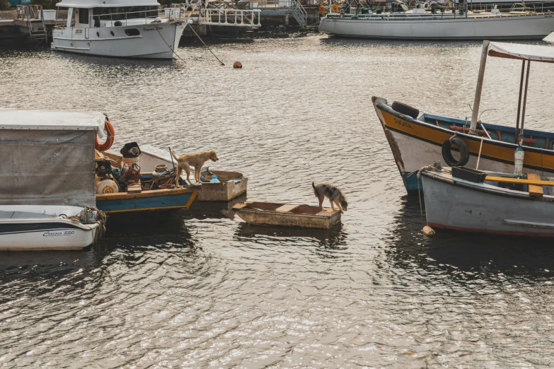 a couple of boats that are in the water, pexels contest winner, arte povera, four legged, nubian, thumbnail, high resolution photo