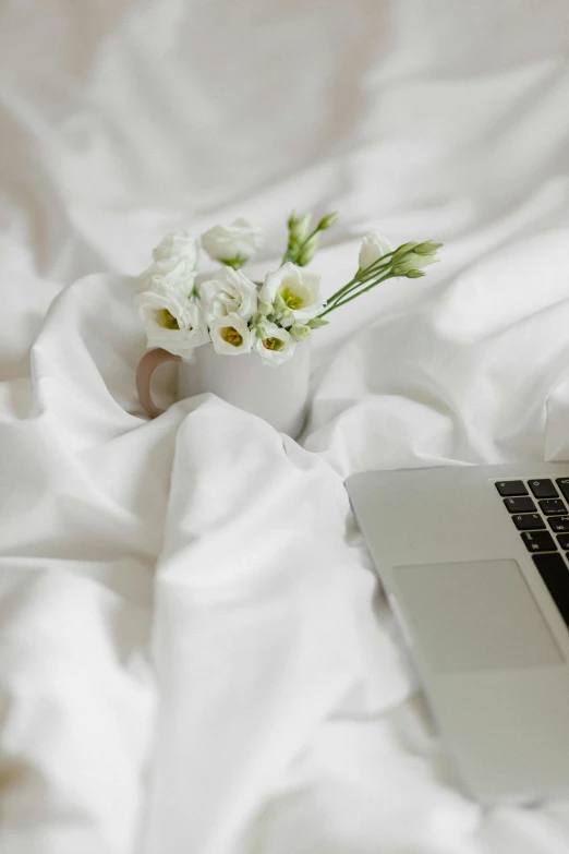 a laptop computer sitting on top of a bed, a still life, unsplash, romanticism, dressed in white, sitting with flowers, coding, wearing white pajamas