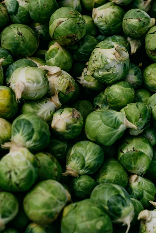 a pile of brussel sprouts sitting on top of each other, by Kristin Nelson, pexels, 2 5 6 x 2 5 6 pixels, multiple stories, cream, slide show