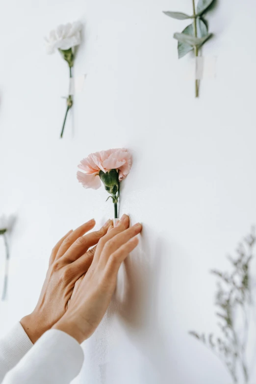 a person placing flowers on a wall, reaching out to each other, white backdrop, soothing, decorations