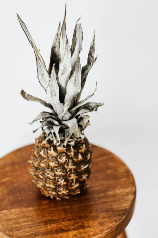 a pineapple sitting on top of a wooden stool, inspired by Patrick Pietropoli, trending on unsplash, new sculpture, gray mottled skin, detailed product image, burned, botanical herbarium