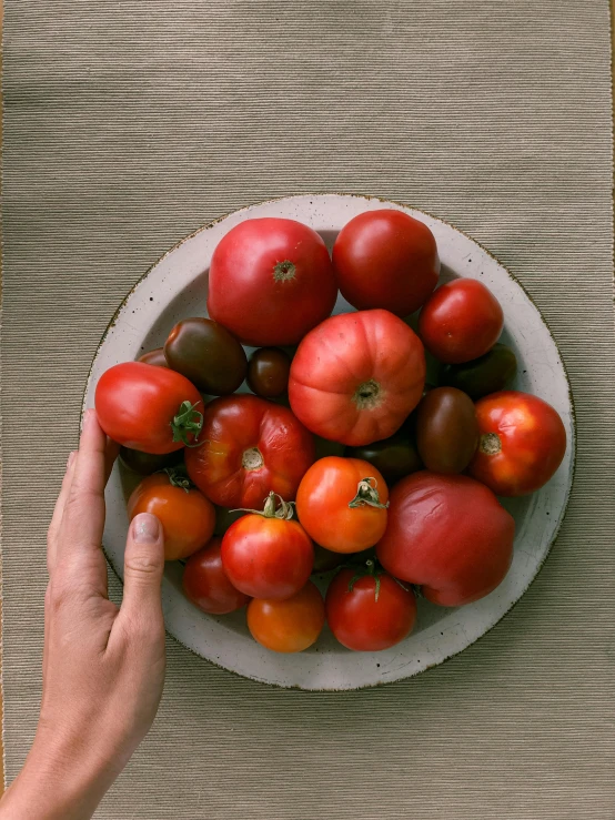 a person holding a bowl of tomatoes on a table, payne's grey and venetian red, wide overhead shot, sundown, group photo