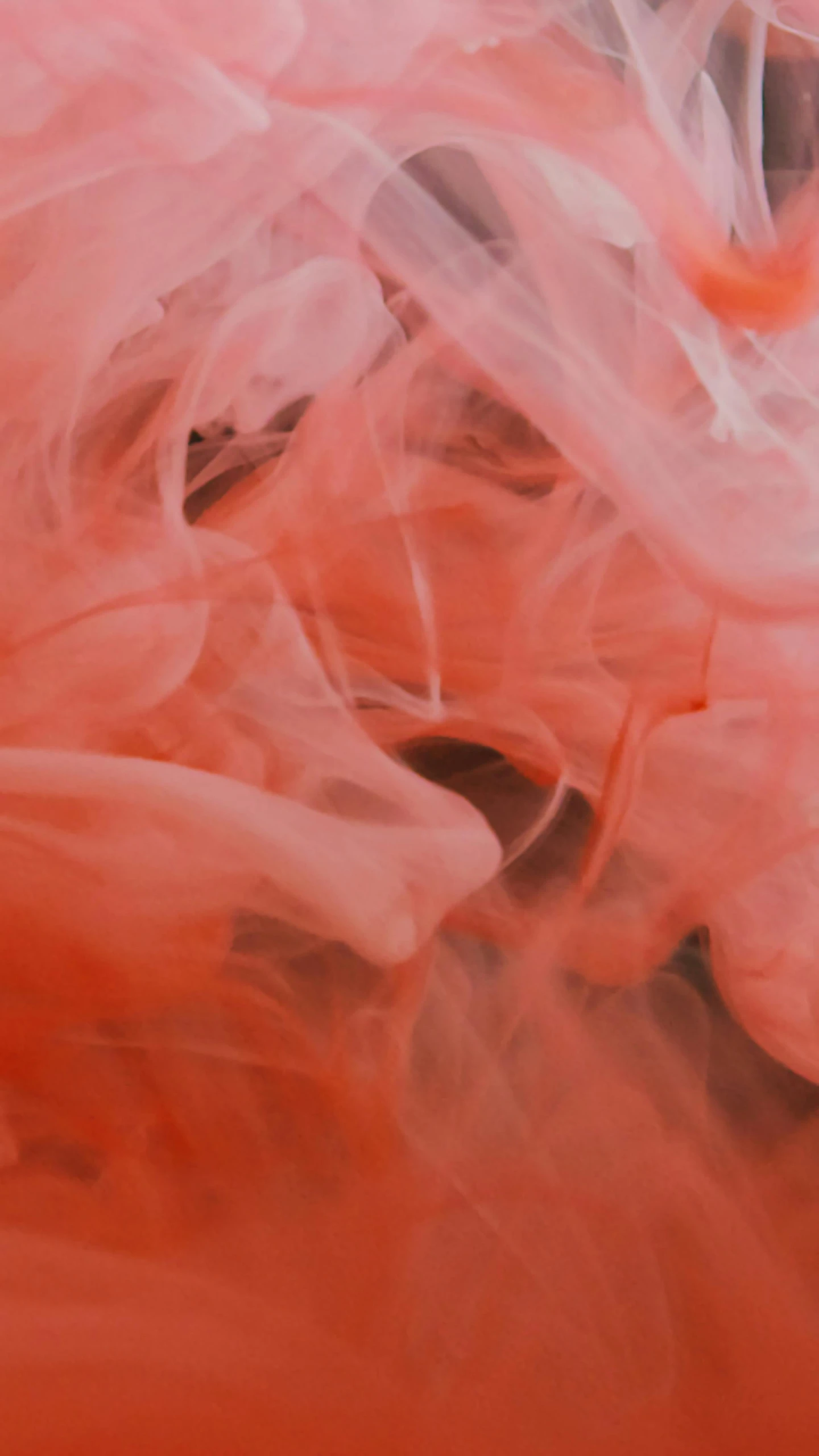 a close up of a bunch of pink feathers, inspired by Kim Keever, pexels, abstract expressionism, red smoke, bubblegum, red-fabric, made of cotton candy