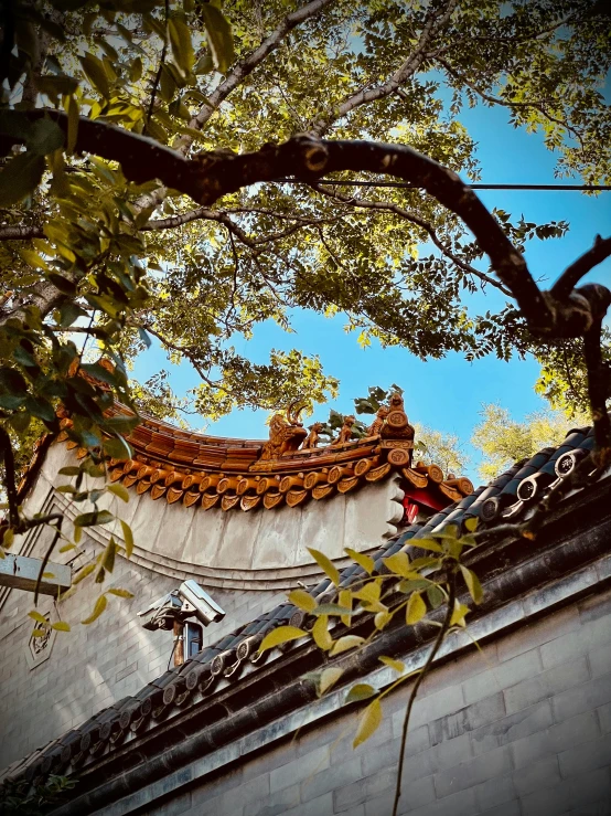 a close up of a building with a tree in the foreground, inspired by Qian Gu, pexels contest winner, baroque, rounded roof, 💣 💥💣 💥, china town, tlaquepaque