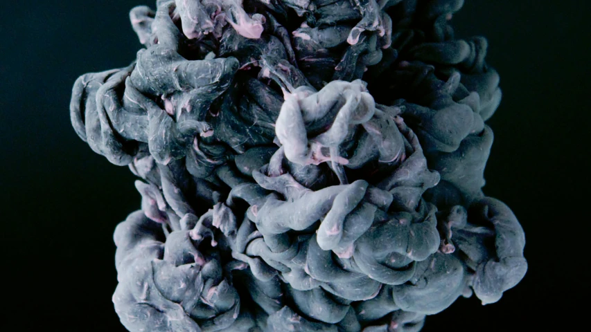 a close up of a bunch of purple flowers, a microscopic photo, inspired by Alberto Seveso, unsplash, process art, puffs of thick black smoke, intricate pasta waves, skin texture like a brain, desaturated blue