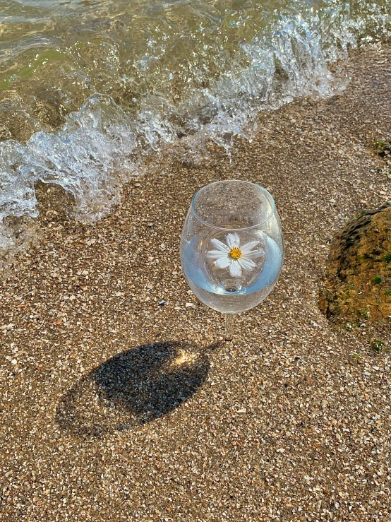 a glass of water sitting on top of a sandy beach, a photorealistic painting, by Jan Rustem, unsplash, photorealism, reflecting flower, taken on iphone 14 pro, high angle shot, made of glass
