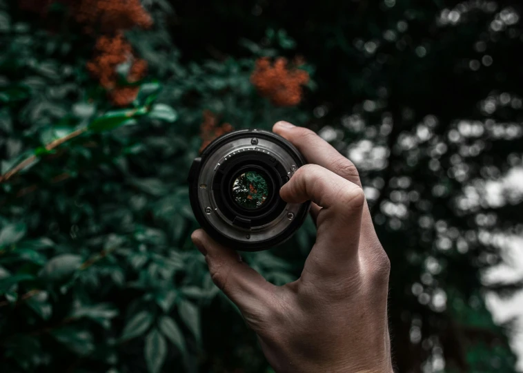 a person holding a camera in their hand, by Adam Marczyński, pexels contest winner, macro camera lens, photograph captured in a forest, aperture f1.2, instagram post