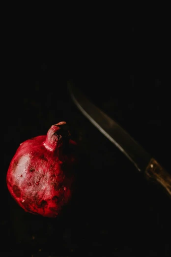 a pomegranate and a knife on a table, inspired by Caravaggio, pexels contest winner, renaissance, headshot profile picture, low lighting, beets, programming