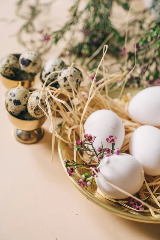 a plate of eggs sitting on top of a table, renaissance, spring theme, half image, premium, seeds