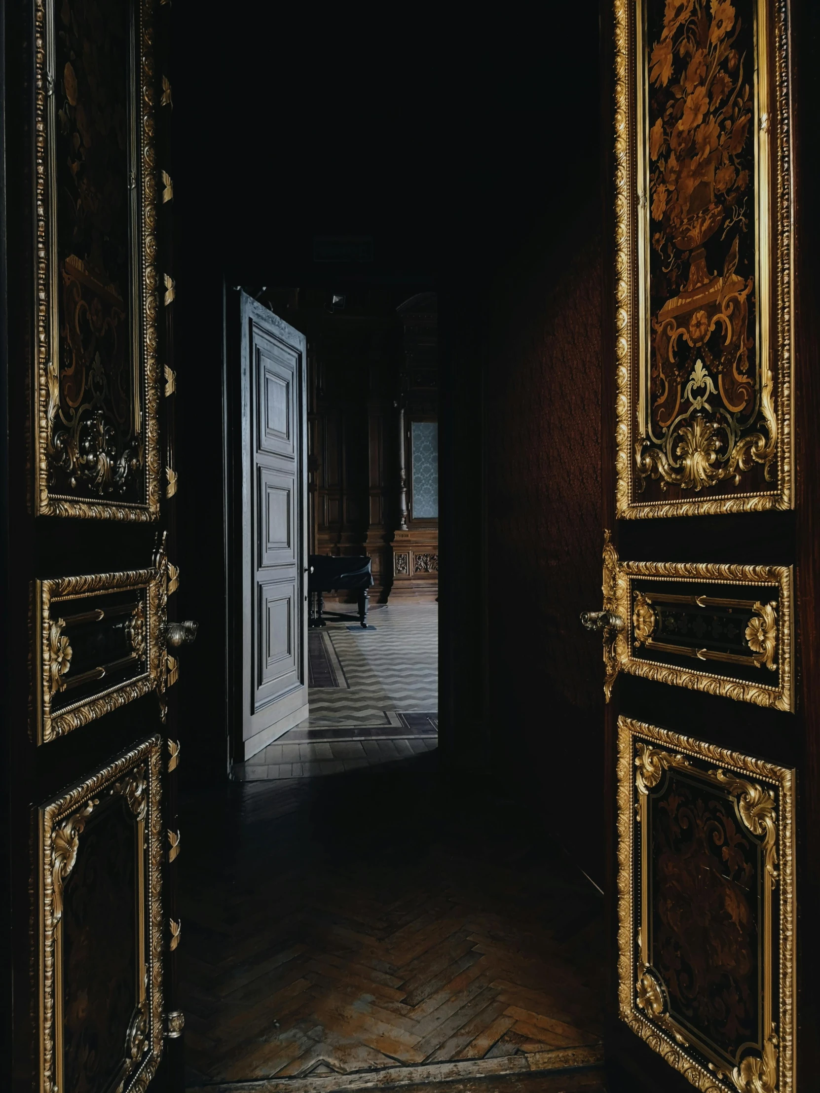 an open door leading into a dark room, an album cover, by Jan Lievens, pexels contest winner, baroque, gold inlay, museum exposition, thumbnail, tourist photo