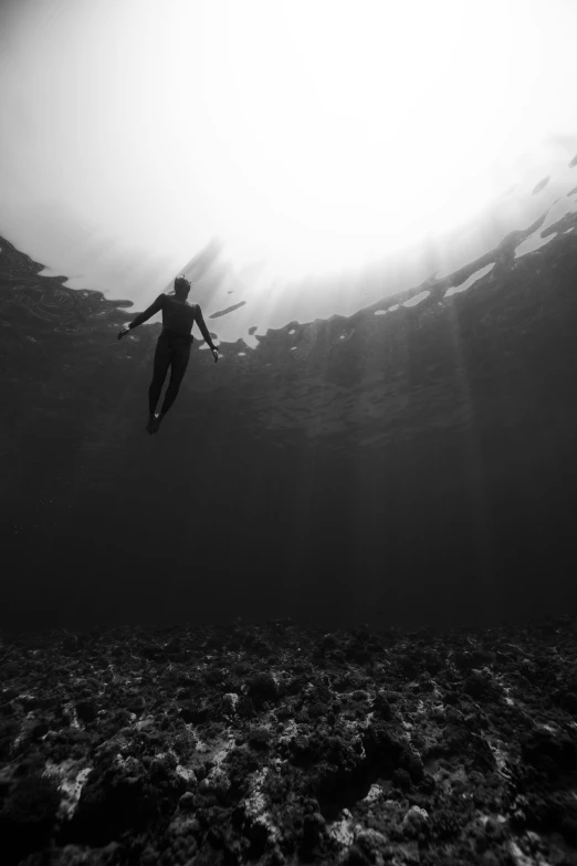a black and white photo of a person in the water, by Andrew Domachowski, standing under the sea, sunlight, hunter, floating in empty space