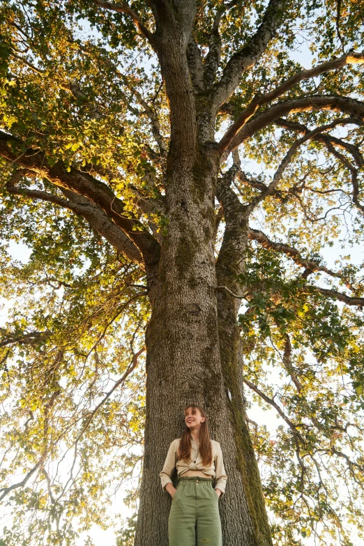 a woman standing in front of a large tree, rex orange county, carice van houten, napa, looking up