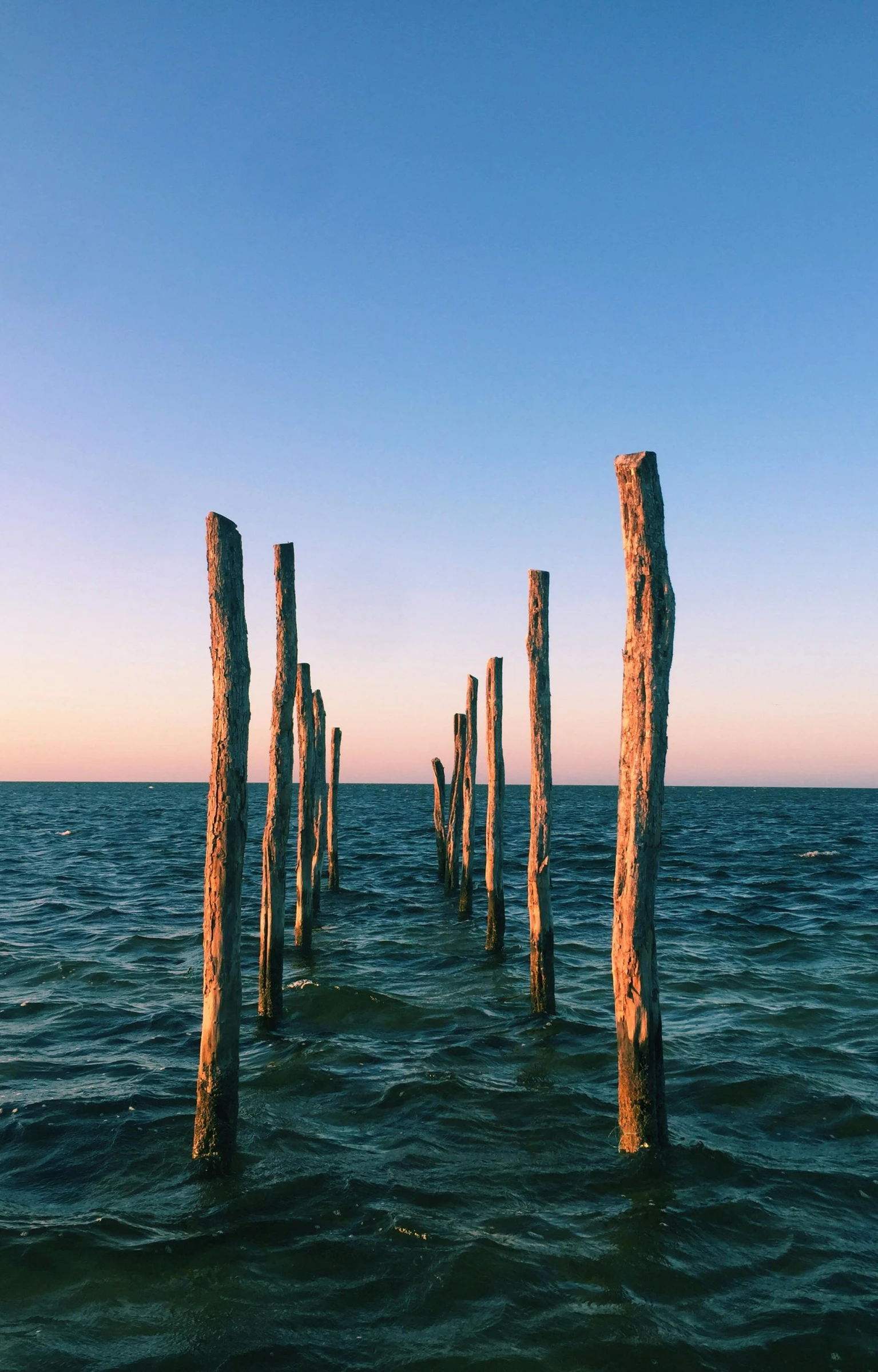 a row of wooden poles sticking out of the ocean, an album cover, by Carey Morris, unsplash contest winner, romanticism, venice biennale, summer evening, monoliths, lagoon