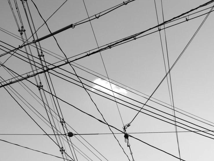 a black and white photo of a bunch of wires, a black and white photo, inspired by Alexander Rodchenko, pexels, postminimalism, bright sunny day, thin line art, ffffound, sky!!!