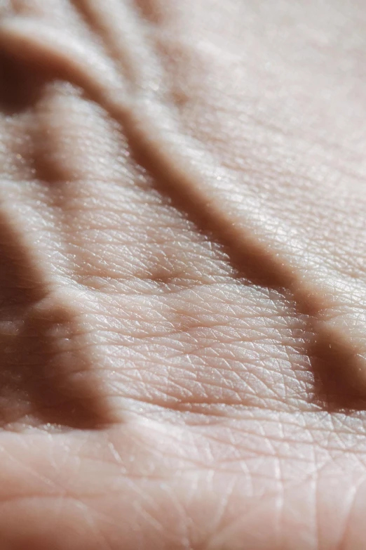 a close up of the skin of a person's hand, with implied lines, forming a heart with their necks, serrated point, square jaw-line