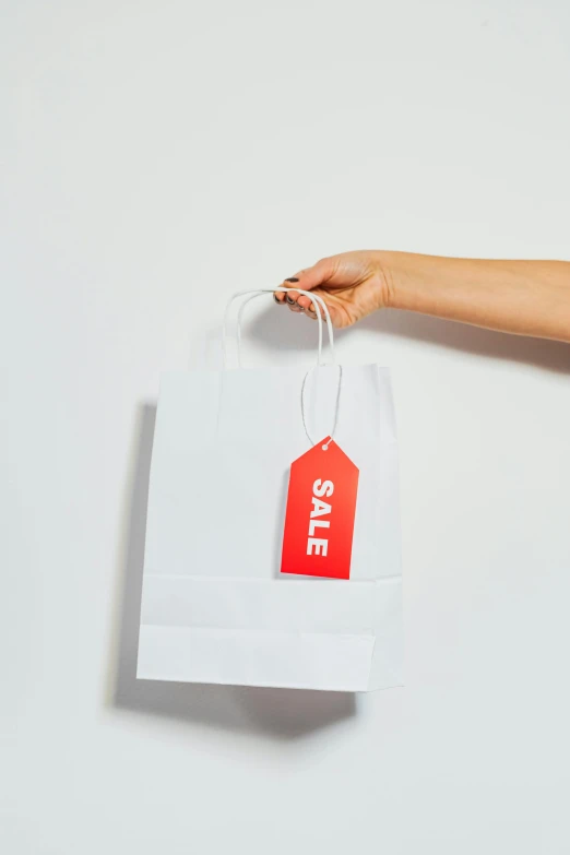 a person holding a white shopping bag with a sale tag on it, pexels contest winner, visual art, set against a white background, thumbnail, small, promotional image