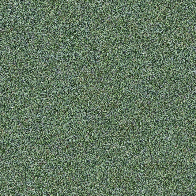 a close up of a green carpet, a digital rendering, by Richard Artschwager, weed background, perfect green fairway, blue grass, bowling alley carpet