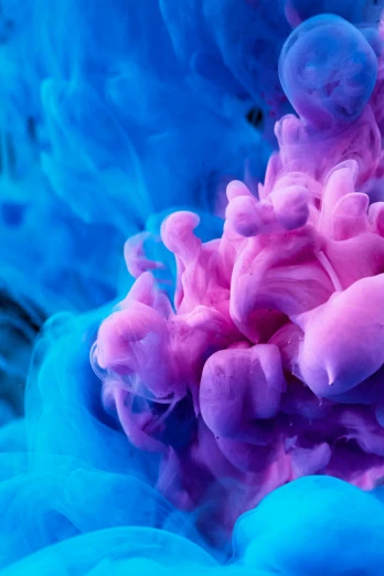 a close up of a blue and pink substance, a cartoon, inspired by Kim Keever, pexels contest winner, a purple fish, liquid smoke, two tone dye, closeup portrait