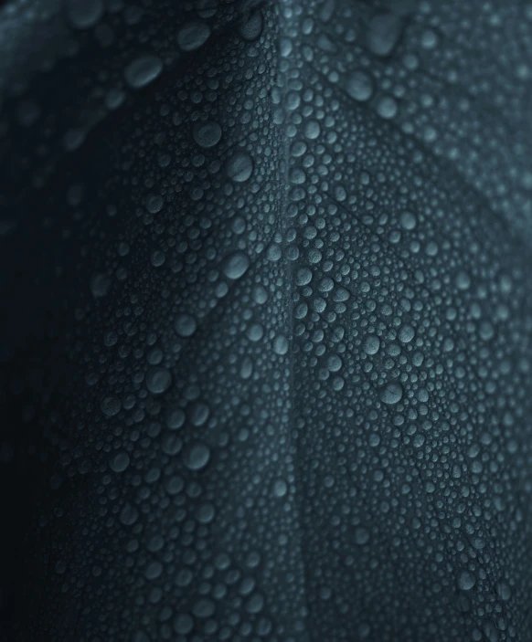 a close up of water droplets on a fabric, unsplash, desaturated blue, macro photography 8k, dark green leaves, blue-black